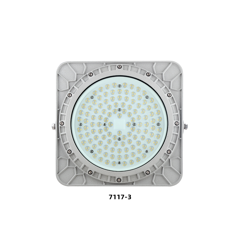 SZBD7117防爆LED灯（多角度配光） 视图12
